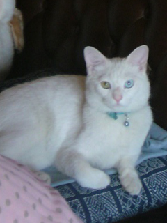 BLOG用写真20090603.jpg